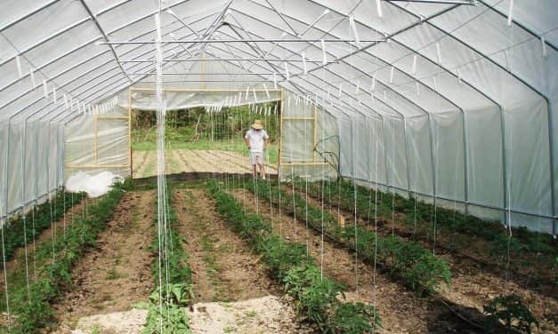 Magyar Kertészeti Tanács alapszabály tervezete