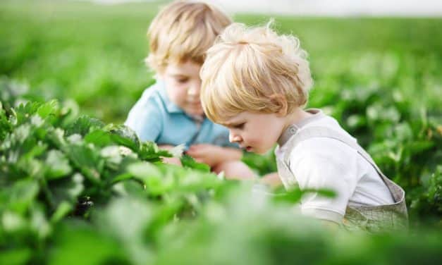 MI A KERES-KÍNÁL ROVAT?