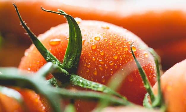 Magyar Gyümölcstermelők Szövetsége Alapszabály módosítás