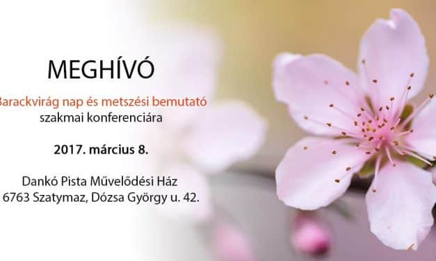 Barackvirág nap és metszési bemutató szakmai konferencia