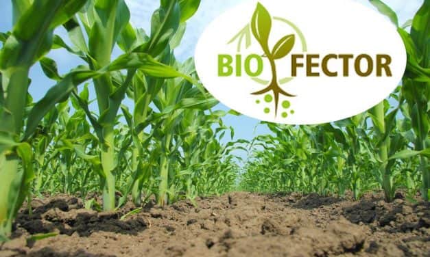 Bioeffektív készítmények az organikus  mezőgazdasági gyakorlatban