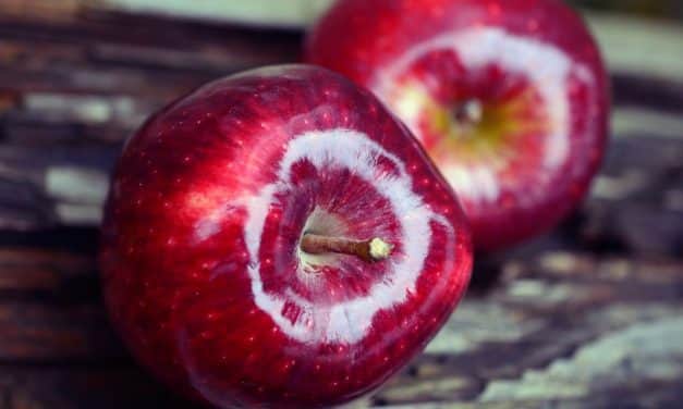 ALMA 2019. ÉVI TERMÉS- ÉS PIACI PROGNÓZIS – FRUITVEB