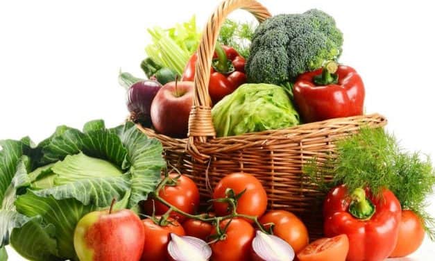 KÉT HÉT MÚLVA „ÉRTÉKELŐ 2018” ÉVZÁRÓ KERTÉSZETI KONFERENCIA