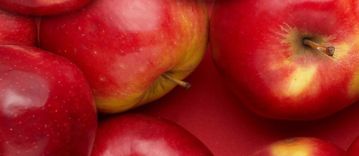 Szakmai megbeszélés: almatermesztéssel és a nemzetközi piaci helyzettel kapcsolatban