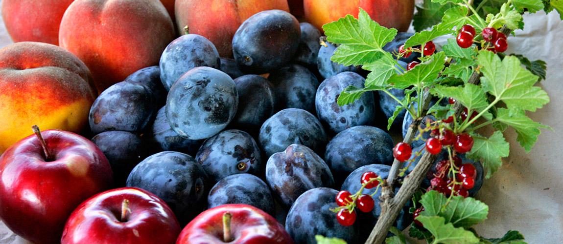 Veszélyben a finom magyar gyümölcs?