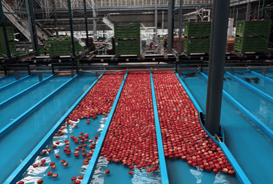 Lengyelországi szakmai tanulmányút – második rész