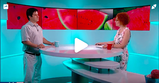 Károk: elfagyott kajszibaracktermés, a dinnyét nincs, aki leszedje