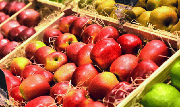 A globális almapiaci helyzet áttekintése és az idei évi várakozások