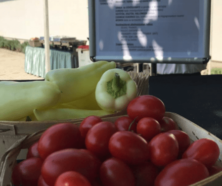 Beszámoló a „Szemléletváltás a zöldség- és gyümölcstermesztésben” szakmai napról