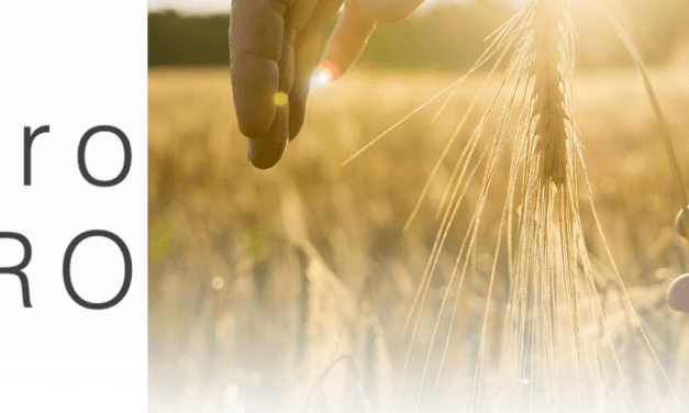 III. EuroAgro Nemzetközi Agráripari Szakkiállítás