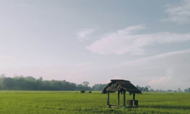 További türelmi időt javasol a kormány a fúrt kutak bejelentésére