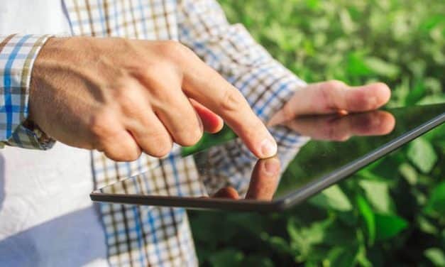 A Magyar Államkincstár honlapján elérhetők az Ültetvénytelepítés támogatásával (VP-2-4.1.3.2.-16),- a Gombaházak – hűtőházak létrehozásával (VP5-4.1.3.4-16)-, valamint az Üveg-és fóliaházak létesítésével (VP-2-4.1.3.1.-16) kapcsolatos kifizetési kérelmek kitöltési útmutatói