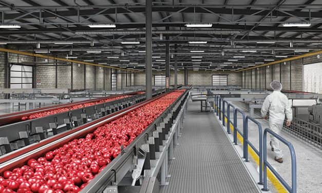 Megjelent az Agrárminisztérium pályázati felhívása „Mezőgazdasági termékek értéknövelése a feldolgozásban” címmel (A Felhívás kódszáma: VP3 – 4.2.1 – 4.2.2 – 18)