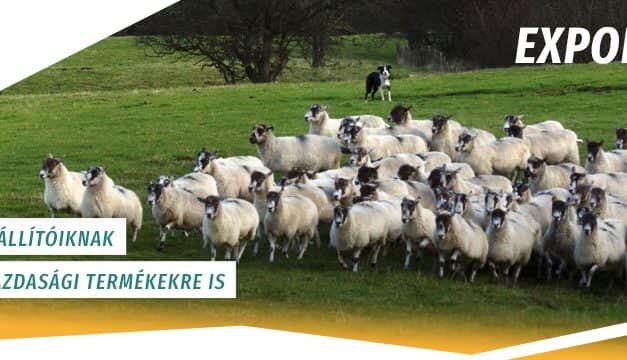 Exportélénkítő Konferenciát szervez az EXIM Bábolnán