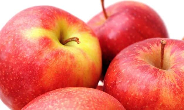 Ismét rekord szinten a német étkezési alma készletek