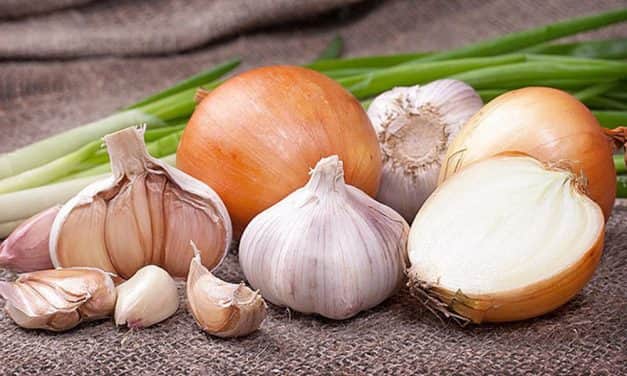 A magyar hagymatermesztés sikeresebbé tételéhez a tárolókapacitás növelése szükséges