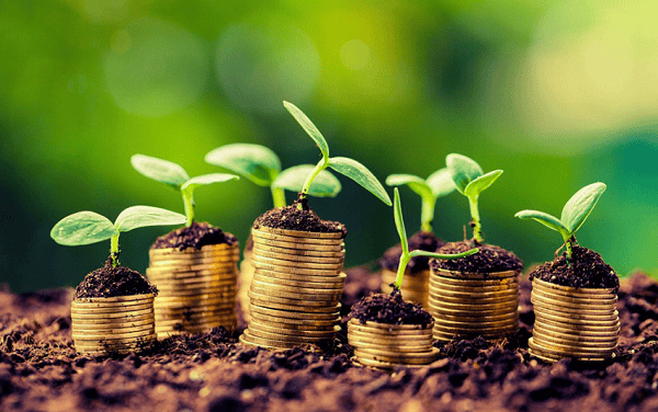 Több nemzeti támogatást nyújthatnak a termelőknek a tagállamok bizottsági jóváhagyás nélkül