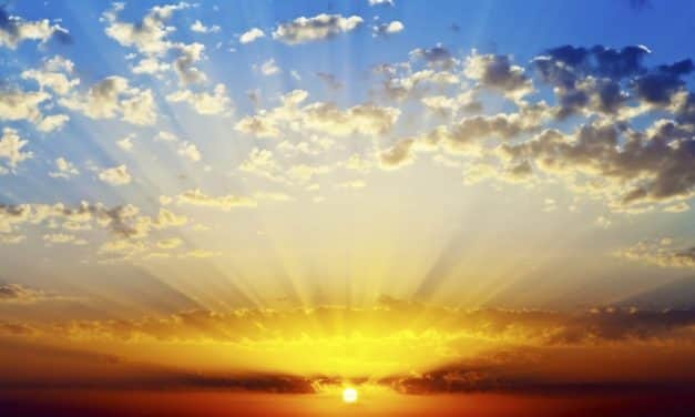 Növényeink és állataink is egyre nehezebben alkalmazkodnak az időjárási szélsőségekhez