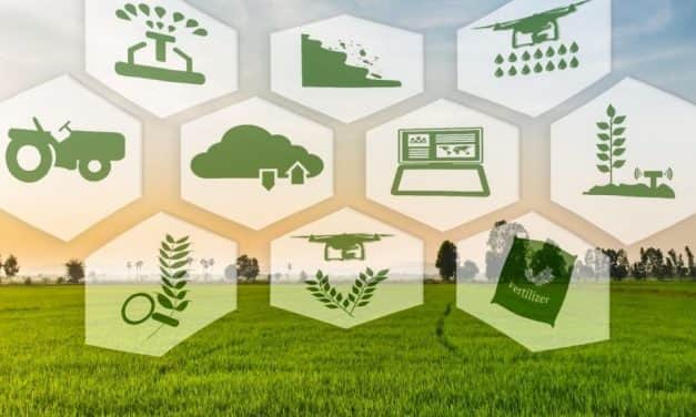 Munkaerőhiány, növekvő költségek – a kertészeti ágazat kihívásaira jelenthet megoldást a precíziós termelés