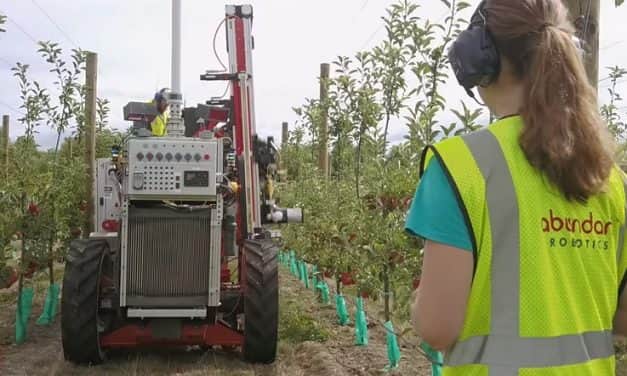Robot szüreteli az almát Új-Zéland gyümölcsöseiben