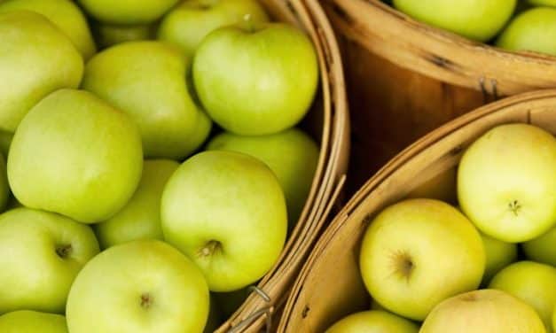 Még mindig nagyon magas Európa friss alma raktárkészlete