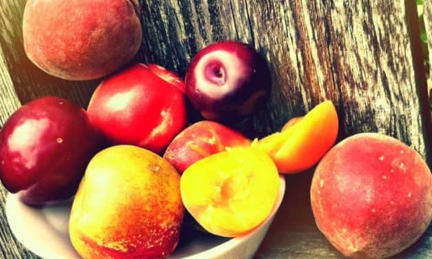 Idén is magasabb összegű biztosítási díjtámogatásra pályázhatnak a gazdálkodók