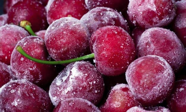 Drasztikus esés a fagyasztott meggy kereskedelemben