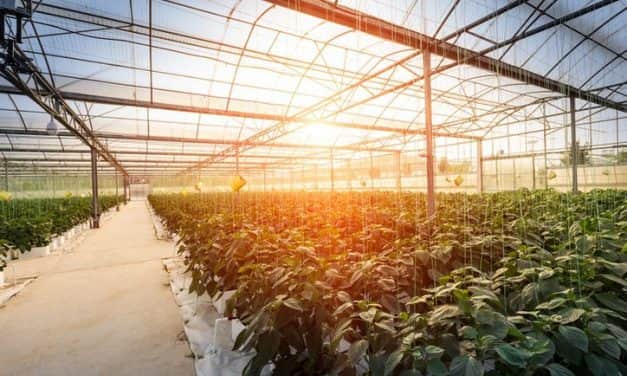 A FRUITVEB A FAKT AG TERVEZETT KERTÉSZETI BERUHÁZÁSÁHOZ KAPCSOLÓDVA KIZÁRÓLAG A FRUITVEB HONLAPJÁN ADOTT KI ÁLLÁSFOGLALÁST