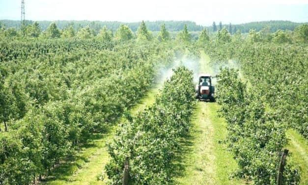 A hatóanyagkivonások miatt nagyon nehéz időszak elé nézünk!