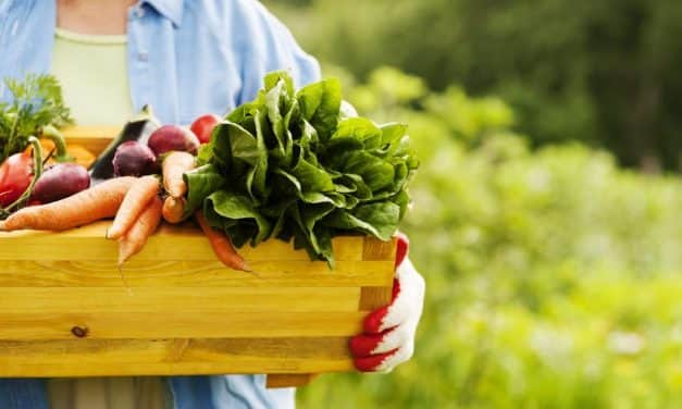 Háromszorosára növelte az Agrárminisztérium az ökológiai gazdálkodásra igényelhető támogatás keretösszegét