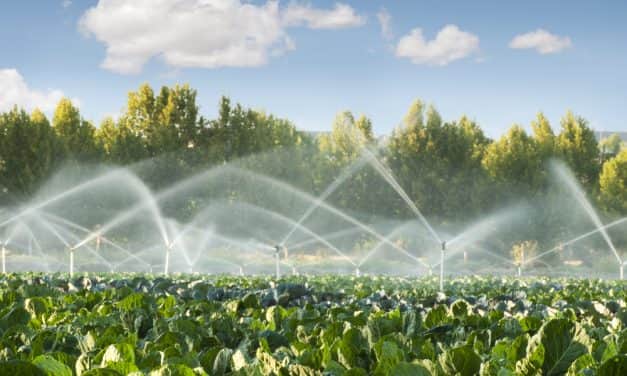 Meghosszabbítják az öntözési idényt