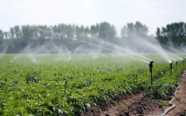 Az öntözővíz alapdíjának 70 százalékát az állam állja