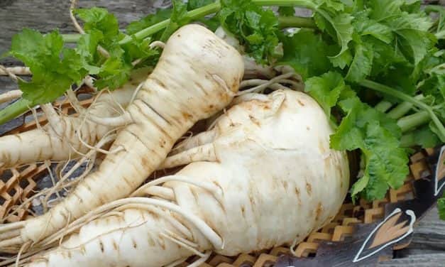 Szükséghelyzeti felhasználási engedélyek cékla, pasztinák, petrezselyem, sárgarépa és zeller kultúrákban