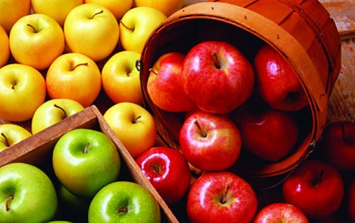 „Profiktól Profiknak” Szaktanácsadási Nap – Az alma tárolhatóságának javítása