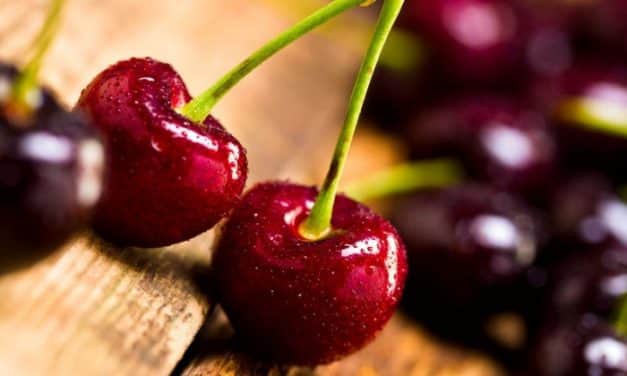 Idén 10 milliárd forint felett köthetnek támogatott agrárbiztosítást a gazdák