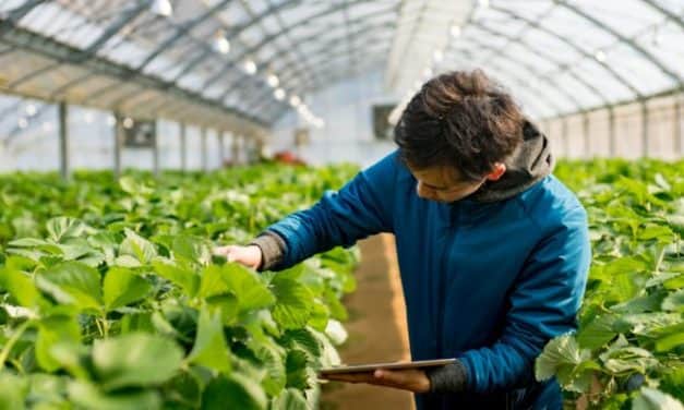 Ezúttal a 2012-ben induló nyertes fiataloknak van fontos kötelezettségük!