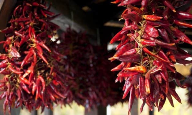 A fűszerpaprika-termelők ismét igényelhetik a csekély összegű támogatást fémzárolt vetőmag vásárlására