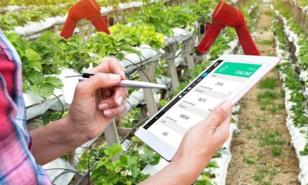 Az agrár-tanácsadási szolgáltatást igénylő mezőgazdasági termelők eligazodását segíti a megújuló szaktanácsadói névjegyzék