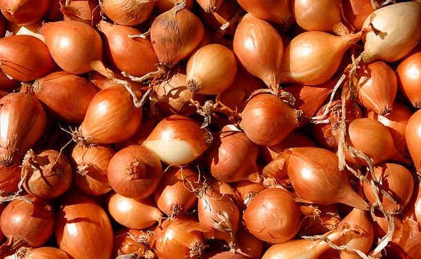 Szükséghelyzeti felhasználási engedélyek vöröshagyma kultúrában