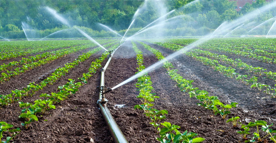 Rendkívüli öntözési célú vízhasználat a mezőgazdasági termelőknek