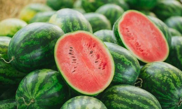 Kisebb hazai kínálattal indul a dinnyeszezon