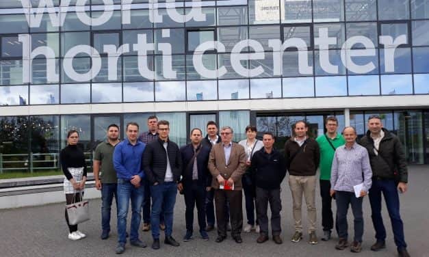 Beszámoló – Hollandiai szakmai tanulmányút zöldséghajtató kertészeknek, I. rész