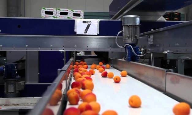 A Széchenyi István Mezőgazdasági és Élelmiszeripari Szakgimnázium, Szakközépiskola és Kollégium 2019. nyarától 90 %-ban támogatott képzéseket indít