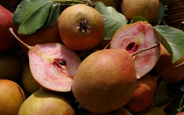 Idén is elindul a zártkerti revitalizációs program