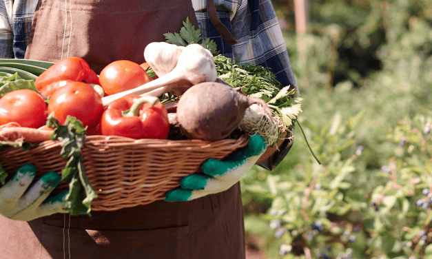 Emelkedtek a bérek az agráriumban
