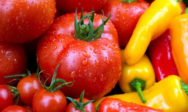 A zöldségágazat helyzetértékelése 2019. július 18.