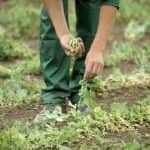 Kérdőív: Szezonális munkaerő igényfelmérés 