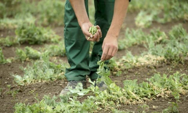 A tavalyi mélypont után idén nyáron némileg enyhült a munkaerőhiány