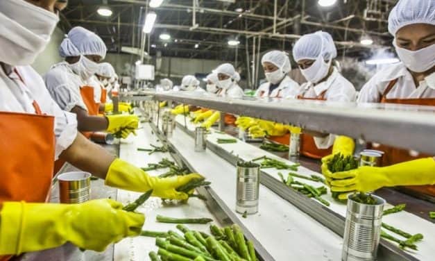 Új élelmiszeripari-borászati pályázat készül