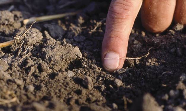 Ne feledje a tápanyaggazdálkodási-tervét elkészíteni!